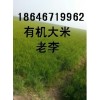 廠(chǎng)家出售黑龍江大米 東北大米