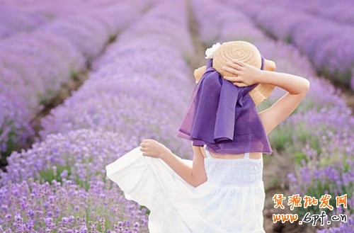 雙十一看我C店小賣(mài)家如何按時(shí)間“起跑”1