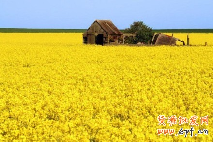 超精細操作的寶貝上下架時間安排1