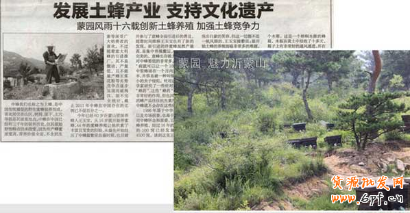 三方面優化讓爆款之路不再遙遠