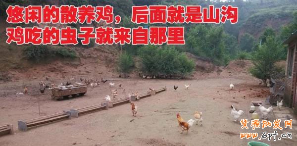 大學生村官山貨店 為民造福2