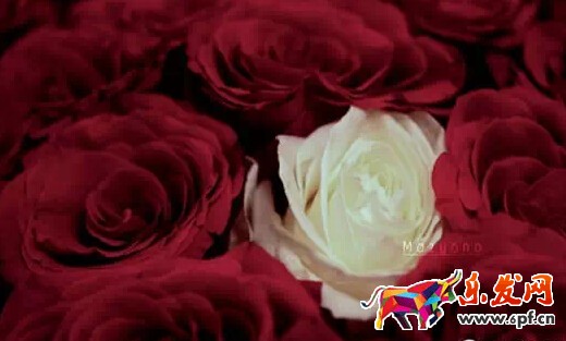 如何經(jīng)營(yíng)微商