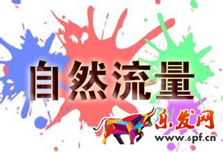 自然搜索流量 自然搜索流量