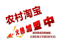 農村淘寶加盟要多少錢?要怎樣加入? 農村淘寶加盟要多少錢?要怎樣加入?