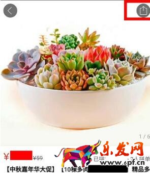 拼多多開店怎么賺錢