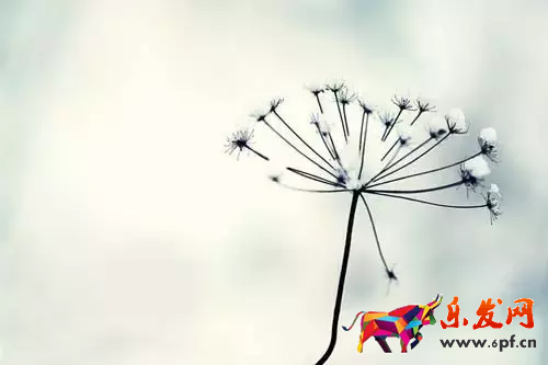 淘寶開鞋店賺錢嗎?如何做好店鋪? 淘寶開鞋店賺錢嗎?如何做好店鋪?